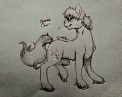 Size: 1024x818 | Tagged: artist needed, safe, oc, oc only, oc:charmed clover, earth pony, pony, earth pony oc, lineart, looking back, male, signature, solo, stallion, straw in mouth, traditional art, unshorn fetlocks