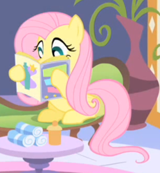 Size: 462x501 | Tagged: safe, screencap, fluttershy, pony, g4, green isn't your color, cropped, female, magazine, mare, solo