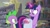 Size: 1920x1080 | Tagged: safe, screencap, spike, twilight sparkle, alicorn, dragon, pony, g4, the point of no return, bag, bits, book, bookshelf, discovery family, discovery family logo, logo, magic, saddle bag, twilight sparkle (alicorn), winged spike, wings