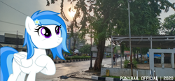 Size: 4032x1872 | Tagged: safe, artist:ponyrailartist, oc, oc only, oc:winter white, pegasus, pony, irl, photo, ponies in real life, show accurate