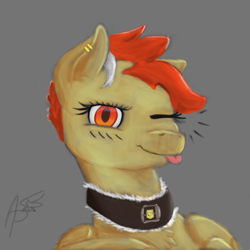 Size: 6000x6000 | Tagged: safe, oc, oc only, earth pony, pegasus, pony, collar, ear piercing, earring, jewelry, one eye closed, piercing, solo, wink, winking at you