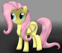Size: 780x672 | Tagged: safe, artist:kittennee-san, fluttershy, pegasus, pony, g4, female, frown, gradient background, mare, scared, solo