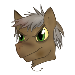 Size: 1000x1000 | Tagged: safe, artist:priorknight, oc, oc only, earth pony, pony, bust, earth pony oc, male, simple background, solo, stallion, transparent background
