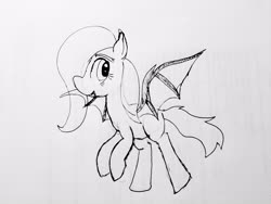Size: 4032x3024 | Tagged: safe, artist:eden89, oc, oc only, oc:anarchy, draconequus, hybrid, pegasus, pony, fanfic:anarchy: pony of chaos, bat wings, black and white, fanfic art, female, filly, grayscale, high res, interspecies offspring, monochrome, offspring, parent:discord, parent:fluttershy, parents:discoshy, sketch, solo, wings