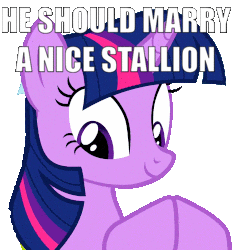 Size: 250x250 | Tagged: safe, edit, edited screencap, screencap, twilight sparkle, pony, unicorn, hurricane fluttershy, animated, background removed, caption, clapping, clapping ponies, cute, female, gay, gif, image macro, implied gay, male, mare, meme, shipper on deck, simple background, solo, talking, text, transparent background, twiabetes, unicorn twilight