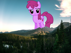 Size: 3840x2880 | Tagged: safe, artist:jerryakiraclassics19, artist:thatguy1945, berry punch, berryshine, earth pony, pony, g4, cloud, female, forest, giant berryshine/berry punch, giant pony, giantess, high res, highrise ponies, irl, looking at you, macro, mare, mountain, mountain range, nature, photo, pine tree, ponies in real life, scenery, sky, tree, valley, water, wood