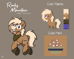 Size: 2560x2048 | Tagged: safe, alternate version, artist:sugar morning, oc, oc only, oc:rocky mountain, earth pony, pony, bandana, commission, cutie mark, high res, male, pointy ponies, reference sheet, simple background, solo, stallion, unshorn fetlocks