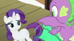 Size: 640x359 | Tagged: safe, screencap, rarity, spike, dragon, pony, unicorn, g4, interseason shorts, rarity's biggest fan, animated, flapping wings, gif, lidded eyes, winged spike, wings