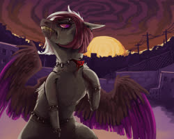 Size: 2500x2000 | Tagged: safe, artist:baccizoof, oc, oc only, pegasus, pony, high res, solo