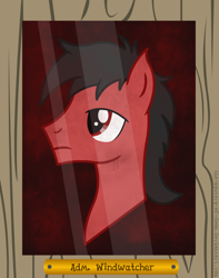 Size: 1198x1518 | Tagged: safe, artist:the-mystery-of-doom, oc, oc only, oc:windwatcher, earth pony, pony, bust, earth pony oc, frown, male, portrait, solo, stallion