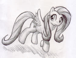 Size: 1000x764 | Tagged: safe, artist:michiito, fluttershy, pegasus, pony, g4, female, monochrome, pencil drawing, sketch, solo, traditional art