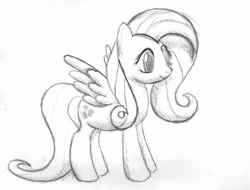 Size: 2948x2243 | Tagged: safe, artist:michiito, fluttershy, pegasus, pony, g4, female, high res, monochrome, pencil drawing, sketch, solo, traditional art