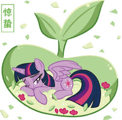 Size: 1100x1080 | Tagged: artist needed, safe, part of a set, twilight sparkle, alicorn, pony, official, bedroom eyes, china, chinese, cute, female, flower, jingzhe, looking at you, mare, part of a series, seed, simple background, solar term, solo, translated in the comments, twiabetes, twilight sparkle (alicorn), white background