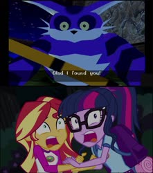 Size: 720x813 | Tagged: safe, edit, edited screencap, screencap, sci-twi, sunset shimmer, twilight sparkle, equestria girls, g4, my little pony equestria girls: legend of everfree, big the cat, camp everfree outfits, meme, reaction image, screaming, sonic adventure, sonic adventure dx, sonic the hedgehog, sonic the hedgehog (series), terrified