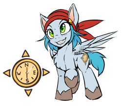 Size: 1000x900 | Tagged: safe, artist:lostdreamm, oc, oc only, oc:north compass, pegasus, pony, bandana, chest fluff, compass, cutie mark, female, mare, raised hoof, reference sheet, simple background, solo, transparent background, wings