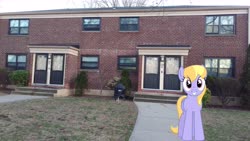Size: 5952x3348 | Tagged: safe, artist:bluemeganium, artist:topsangtheman, cloud kicker, pegasus, pony, g4, house, irl, looking at you, photo, ponies in real life