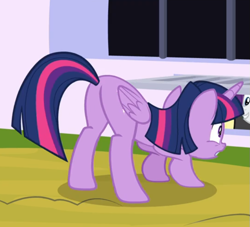 Size: 705x640 | Tagged: safe, screencap, rarity, twilight sparkle, alicorn, pony, g4, sparkle's seven, butt, cropped, crouching, face down ass up, female, offscreen character, plot, rear view, twilight sparkle (alicorn)