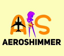 Size: 646x571 | Tagged: safe, artist:electrahybrida, derpibooru exclusive, sunset shimmer, equestria girls, g4, my little pony equestria girls: rainbow rocks, acronym, aeroshimmer airways, airline, airlines, cutie mark, logo, plane, silhouette, story included, wat