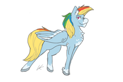 Size: 1800x1200 | Tagged: safe, artist:peikonhannantupsu, rainbow dash, pegasus, pony, g4, coat markings, female, folded wings, g5 concept leak style, g5 concept leaks, hooves, looking at you, mare, rainbow dash (g5 concept leak), redesign, simple background, solo, transparent background, wings