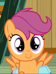 Size: 715x937 | Tagged: safe, screencap, scootaloo, pegasus, pony, g4, growing up is hard to do, bag, big eyes, cropped, cute, cutealoo, female, filly, foal, looking at you, saddle bag, smiling, solo, spread wings, wings