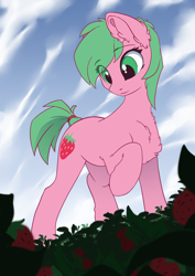 Size: 2480x3508 | Tagged: safe, artist:arctic-fox, oc, oc:pine berry, earth pony, pony, chest fluff, cloud, cloudy, ear fluff, female, field, fluffy, food, high res, mare, perspective, raised hoof, strawberry
