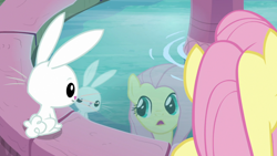 Size: 1920x1080 | Tagged: safe, screencap, angel bunny, fluttershy, pony, rabbit, g4, she talks to angel, animal, body swap, duo, female, fountain, male, mare, reflection, water
