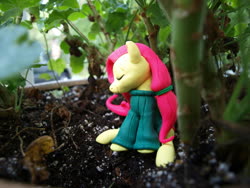 Size: 900x675 | Tagged: safe, fluttershy, pony, g4, clay, clothes, eyes closed, miniature, photo, plant, sitting, sweater