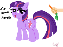 Size: 782x589 | Tagged: safe, artist:littlenaughtypony, twilight sparkle, g4, carrot, food, hand, ms paint