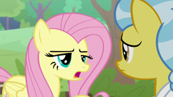 Size: 1920x1080 | Tagged: safe, screencap, angel bunny, doctor fauna, fluttershy, pegasus, pony, g4, she talks to angel, body swap, duo, female, mare, open mouth