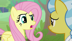 Size: 1920x1080 | Tagged: safe, screencap, angel bunny, doctor fauna, fluttershy, pegasus, pony, g4, she talks to angel, body swap, duo, female, mare
