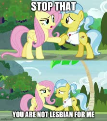 Size: 500x562 | Tagged: safe, edit, edited screencap, screencap, doctor fauna, fluttershy, earth pony, pegasus, pony, g4, she talks to angel, caption, comic, dialogue, fluttershy gets all the mares, image macro, meme, screencap comic, shipping denied, text