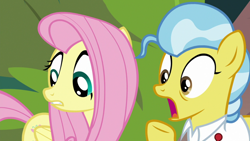 Size: 1920x1080 | Tagged: safe, screencap, angel bunny, doctor fauna, fluttershy, pegasus, pony, g4, my little pony: friendship is magic, she talks to angel, body swap, clothes, duo, female, mare, open mouth, shirt, shocked