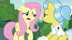 Size: 1920x1080 | Tagged: safe, screencap, angel bunny, doctor fauna, fluttershy, earth pony, pegasus, pony, g4, she talks to angel, body swap, clothes, female, mare, ponytail, shirt