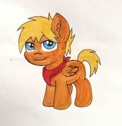 Size: 2620x2723 | Tagged: oc name needed, safe, artist:dawn-designs-art, oc, oc only, pegasus, pony, colt, high res, male, solo, traditional art