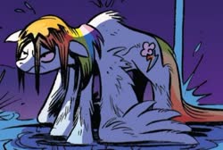 Size: 496x333 | Tagged: safe, artist:andypriceart, idw, official comic, rainbow dash, pegasus, pony, g4, spoiler:comic25, cropped, death stare, the good the bad and the ponies, wet, wet hair, wet mane, wet wings