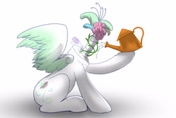 Size: 4500x3000 | Tagged: safe, artist:fiyawerks, oc, oc only, headless horse, original species, pegasus, plant pony, pony, adorawat, cute, cyriak, flower, headless, high res, not salmon, plant, simple background, surreal, wat, water, watering can, weird, white background, wtf