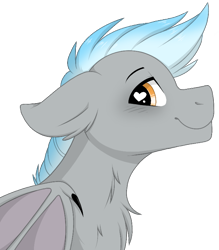 Size: 716x816 | Tagged: safe, artist:melodytheartpony, oc, oc only, oc:chain lightning, dracony, dragon, hybrid, pony, floppy ears, fluffy, heart eyes, looking at you, male, simple background, solo, transparent background, wingding eyes, ych result
