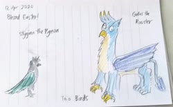 Size: 3605x2240 | Tagged: safe, artist:horsesplease, gallus, stygian, bird, pigeon, g4, birb, derp, doodle, gallus the rooster, high res, lined paper, pun, traditional art