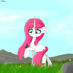 Size: 2953x2953 | Tagged: safe, oc, oc only, oc:half note, butterfly, pony, chest fluff, female, filly, heterochromia, high res, mare, mountain, raised hoof, solo