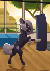 Size: 2480x3508 | Tagged: safe, artist:jackiebloom, oc, oc only, oc:upper crust, earth pony, pony, high res, punching bag, solo