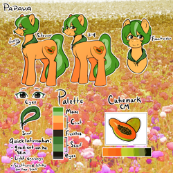 Size: 2000x2000 | Tagged: safe, artist:poofindi, oc, oc only, oc:papaya, earth pony, pony, high res, reference sheet