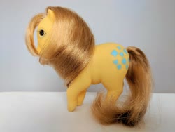 Size: 4032x3024 | Tagged: safe, butterscotch (g1), g1, irl, photo, piggy pony, spain, toy, variant