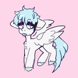 Size: 4096x4096 | Tagged: dead source, safe, artist:morbidspitt, oc, oc only, pegasus, pony, chest fluff, floppy ears, lidded eyes, pink background, simple background, solo, tongue out