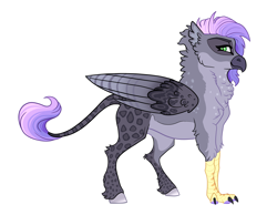 Size: 3550x2756 | Tagged: safe, artist:venommocity, oc, oc only, oc:bellatrix, hippogriff, female, high res, magical lesbian spawn, offspring, parent:gabby, parent:sweetie belle, parents:gabbelle, simple background, solo, white background
