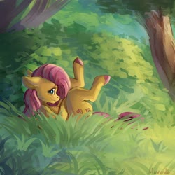 Size: 4000x4000 | Tagged: safe, artist:miokomata, fluttershy, pegasus, pony, g4, absurd resolution, blushing, chest fluff, colored hooves, cute, fangs, female, floppy ears, forest, freckles, freckleshy, grass, looking at you, mare, on back, outdoors, profile, scenery, shyabetes, solo