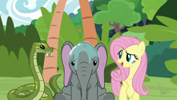 Size: 1920x1080 | Tagged: safe, screencap, angel bunny, antoine, fluttershy, muriel, elephant, pegasus, pony, python, snake, g4, she talks to angel, about to pass out, baby elephant, body swap, drool, exhausted, fangs, female, frown, impressed, looking at each other, male, mare, miserable, not fluttershy, raised eyebrow, raised hoof, smiling, stressed, talking, trio