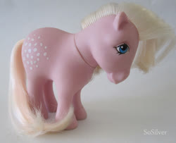 Size: 692x561 | Tagged: safe, photographer:sosilver, cotton candy (g1), g1, irl, italy, photo, toy, variant