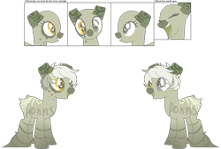 Size: 891x601 | Tagged: safe, artist:skulifuck, oc, oc only, earth pony, pony, base used, bust, dollar sign, earth pony oc, eyes closed, heterochromia, money, open mouth, reference sheet, simple background, smiling, transparent background, wingding eyes