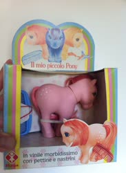 Size: 704x960 | Tagged: safe, photographer:piggyponies, cotton candy (g1), g1, box, furga, irl, italian, italy, photo, toy, variant