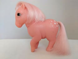 Size: 4032x3024 | Tagged: safe, cotton candy (g1), g1, irl, photo, piggy pony, pinky cotton candy, spain, toy, variant
